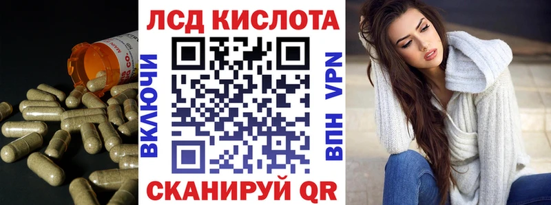 ЛСД экстази ecstasy  Купить закладки  Андреаполь 